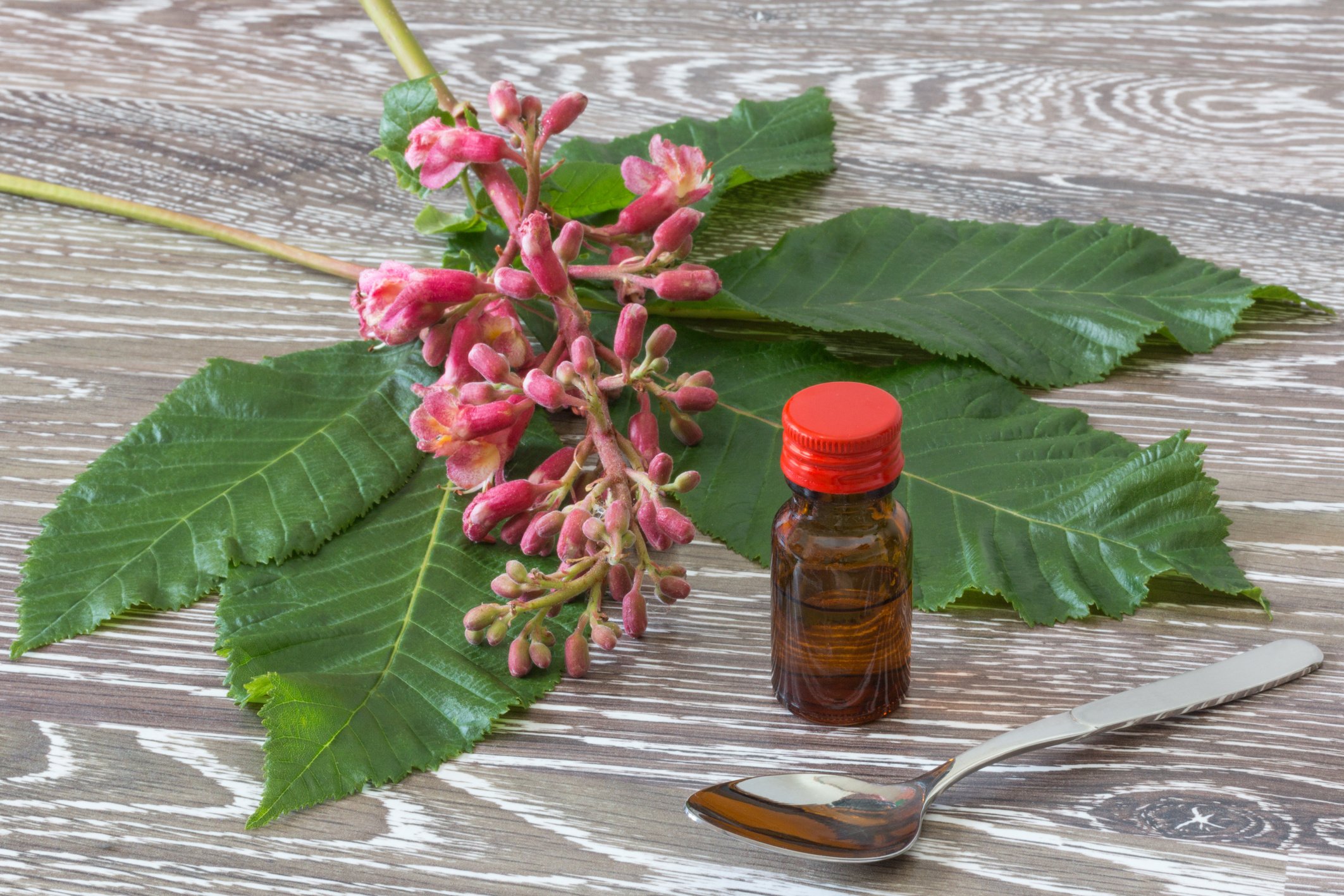 red chestnut Bach flowers